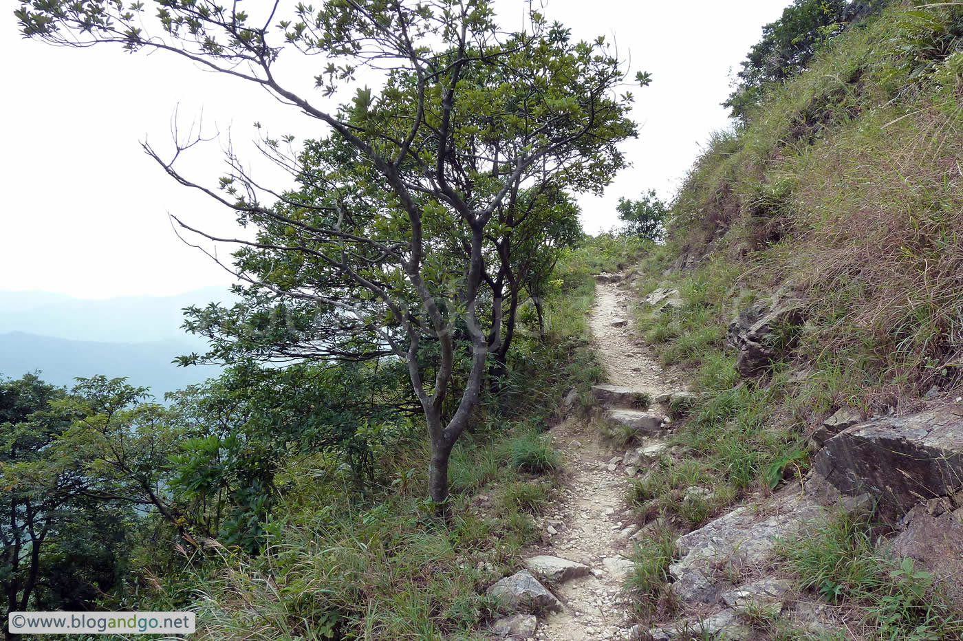 Lantau Trail - Mountain path